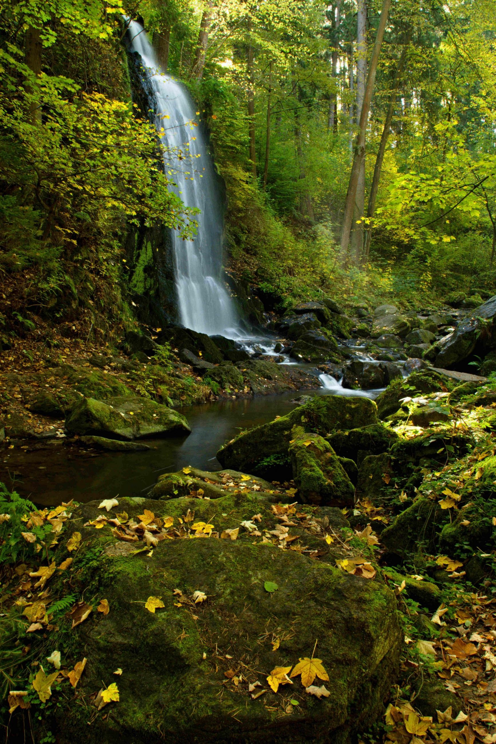 Vodoparáda.