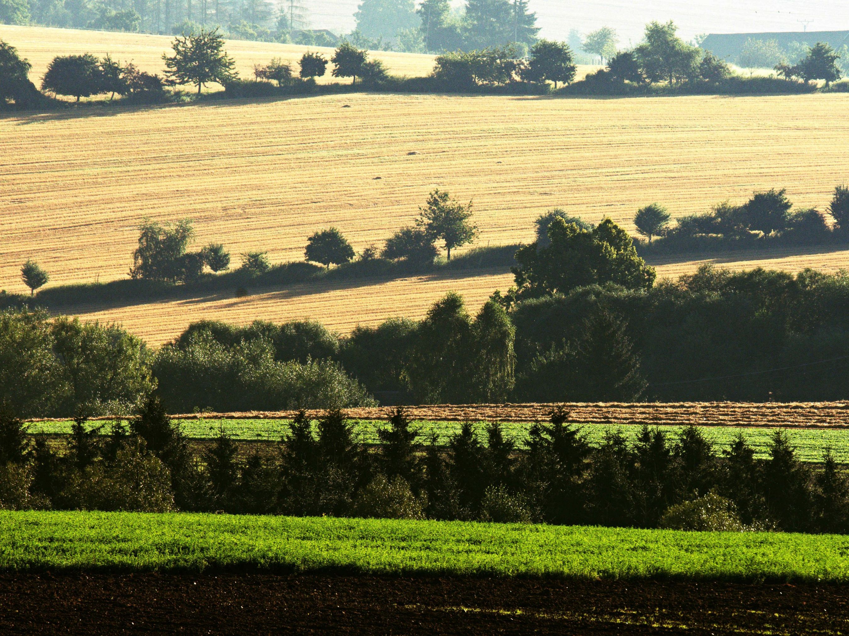 Vysočina.