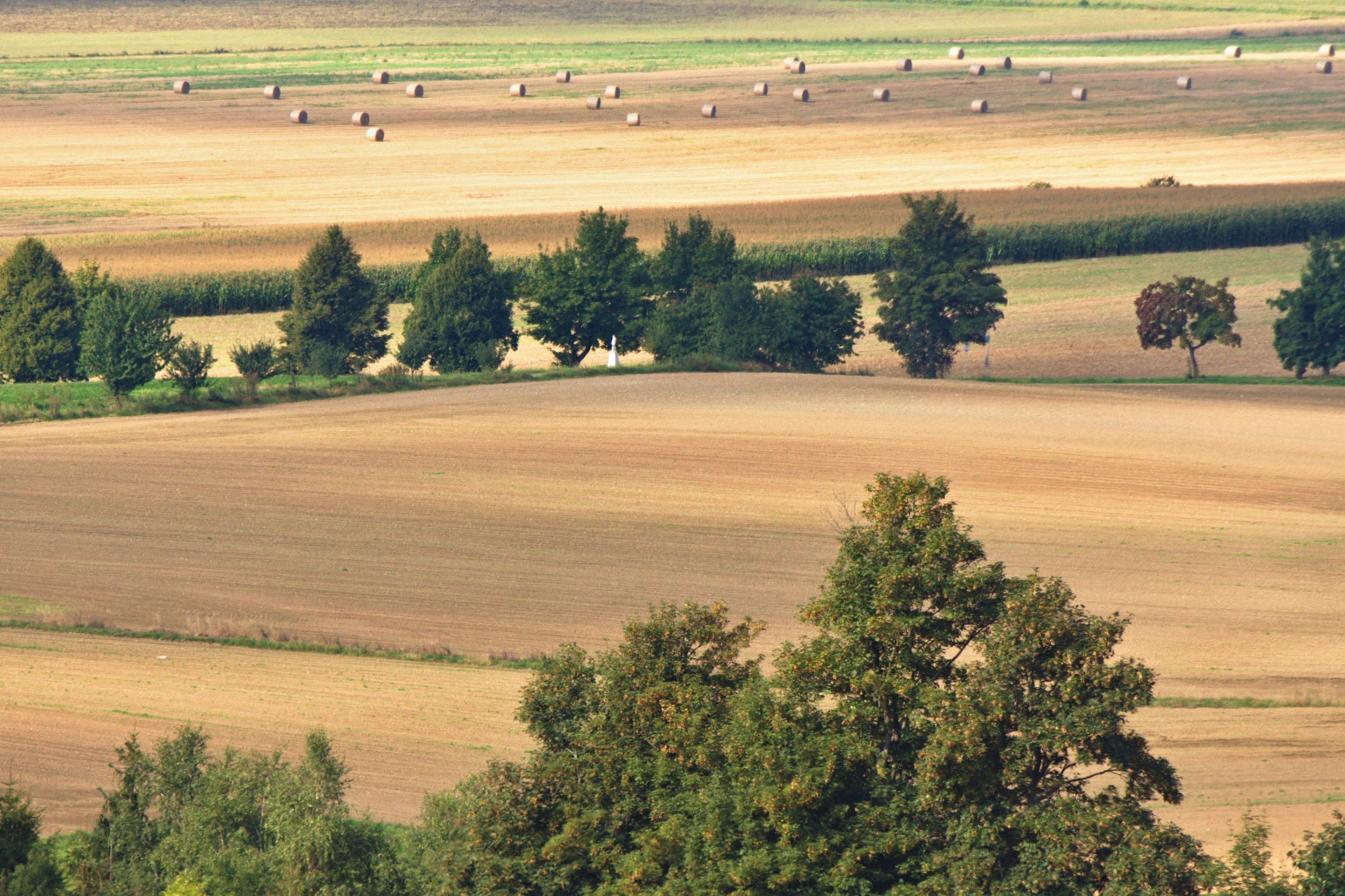 U křížku.