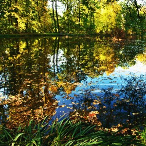 Podzimní voda.