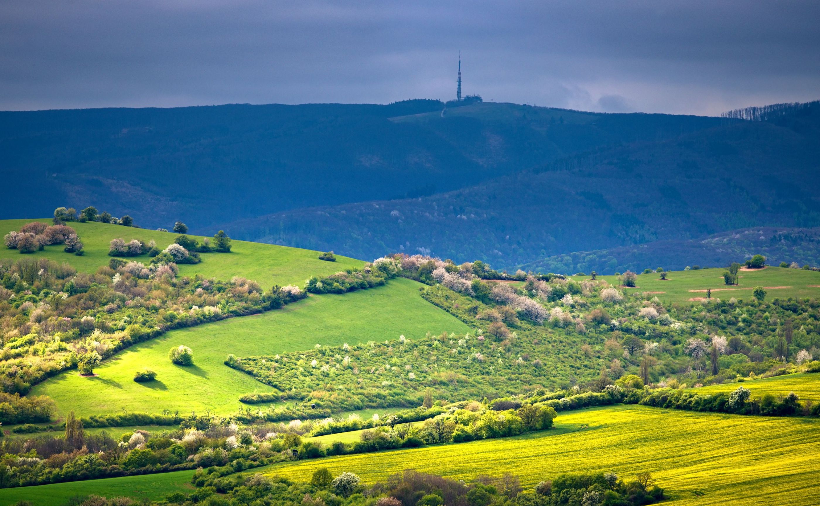 Mount Velka javorina on Spring