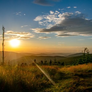 Šumava