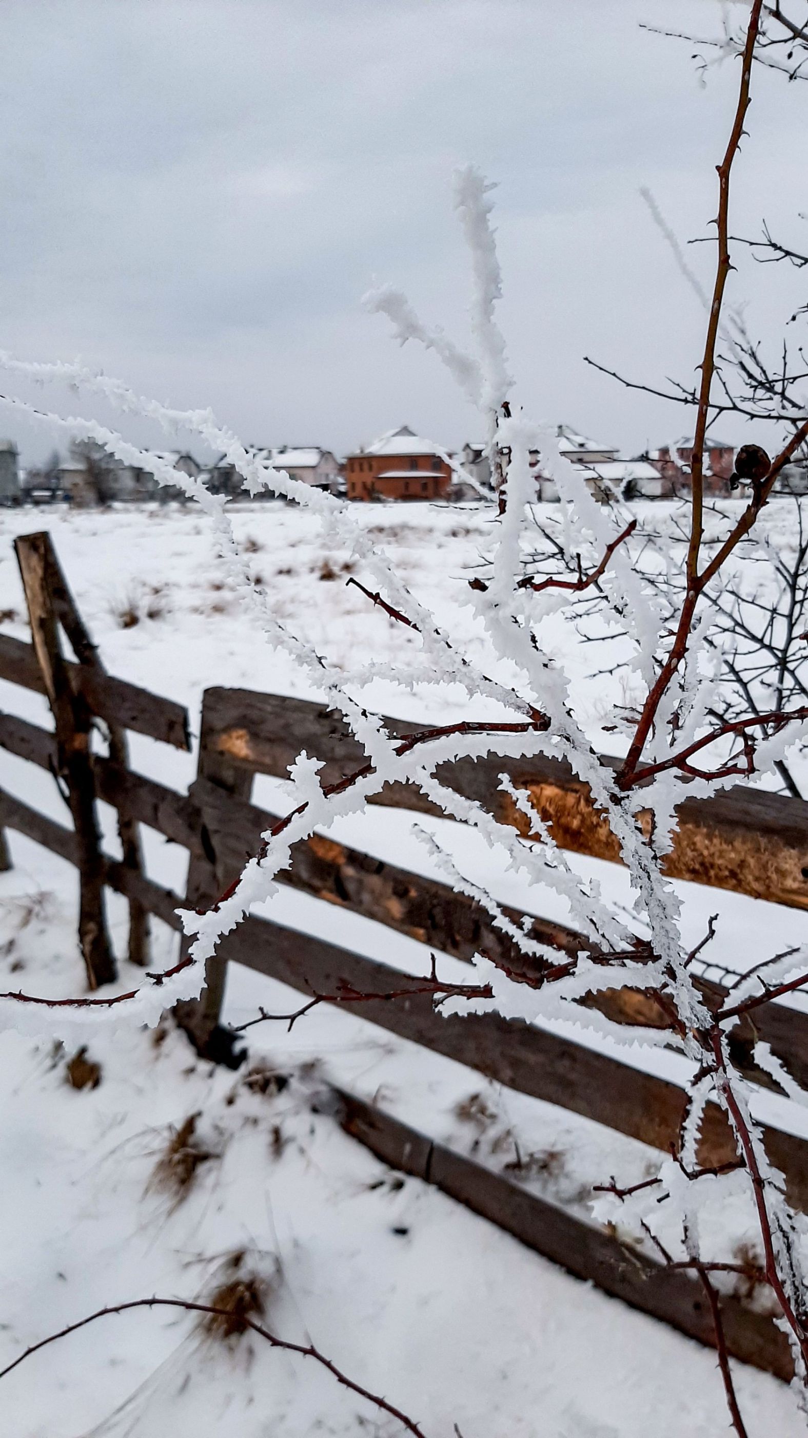 Там за тином