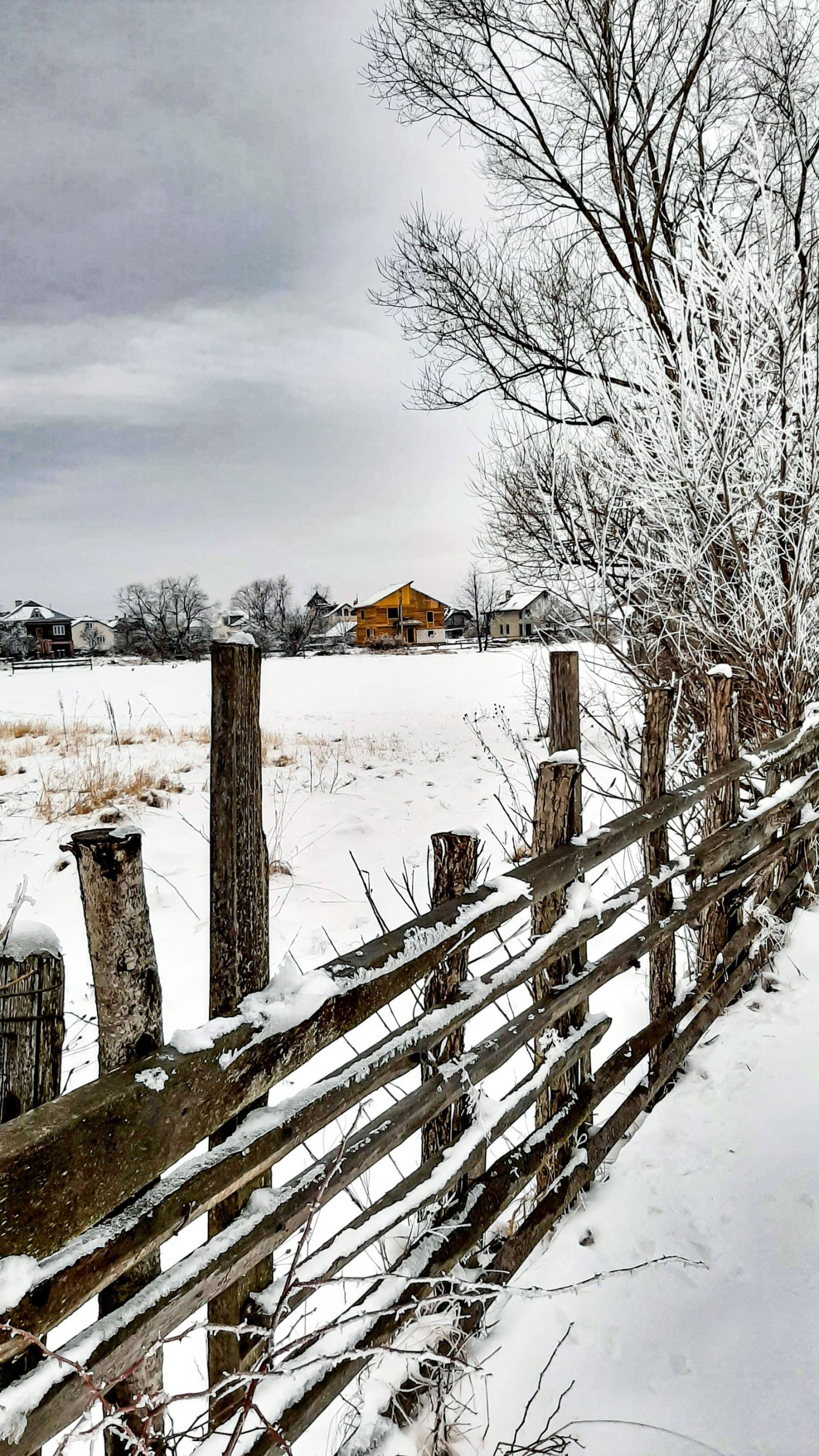 Там за тином