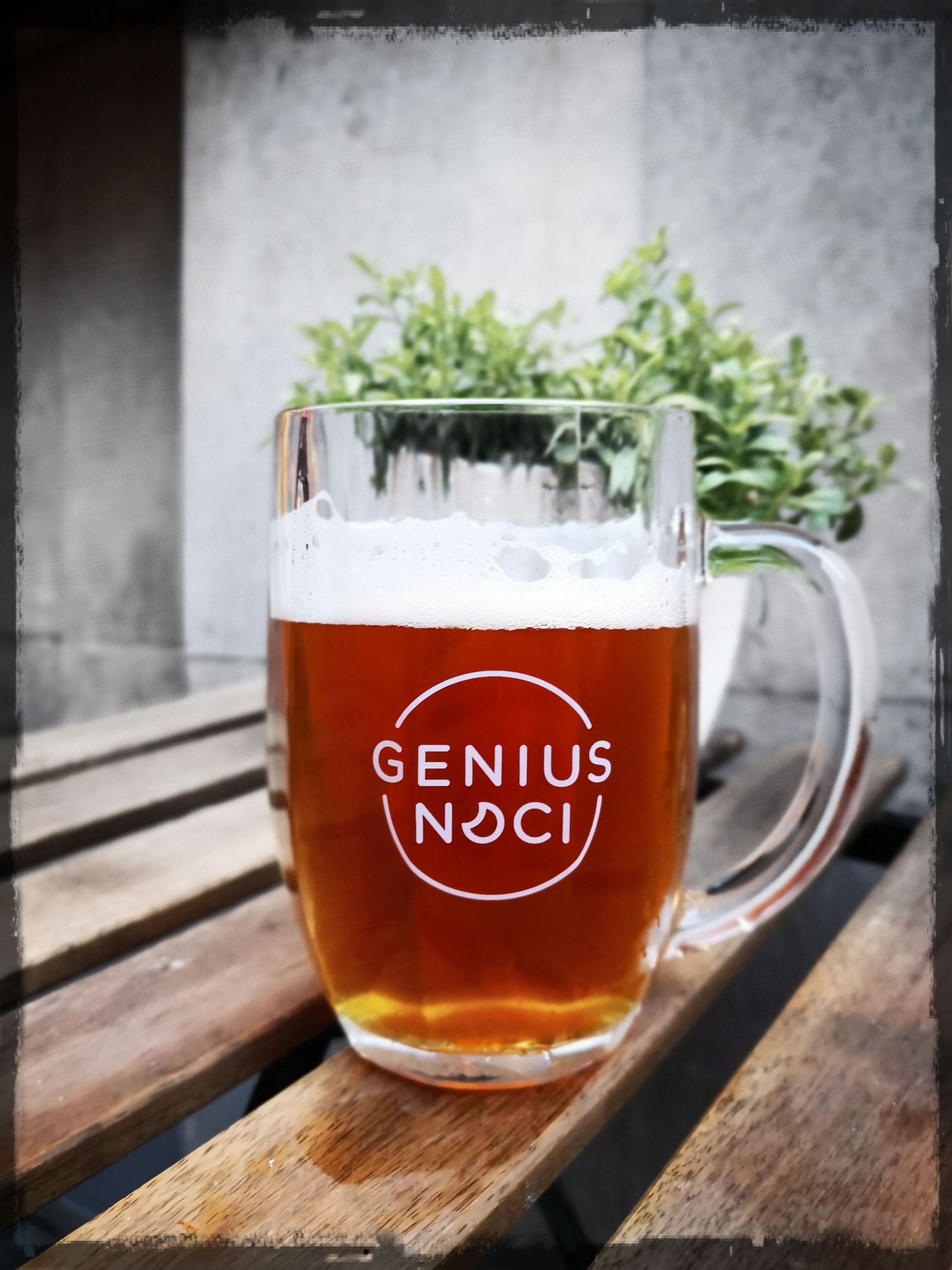 Beer, Pivovar Genius Noci