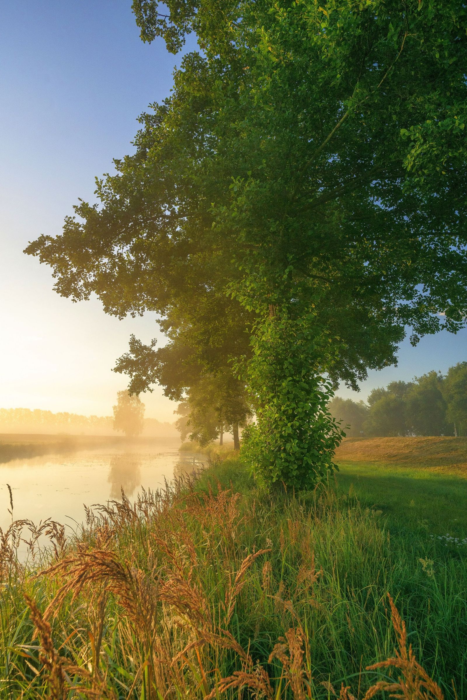 Natur einatmen