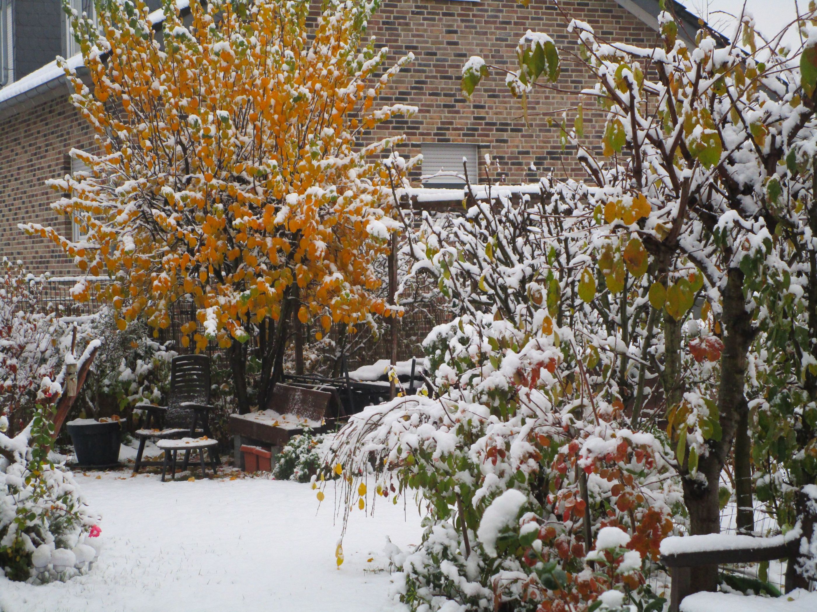 Winter in Aachen