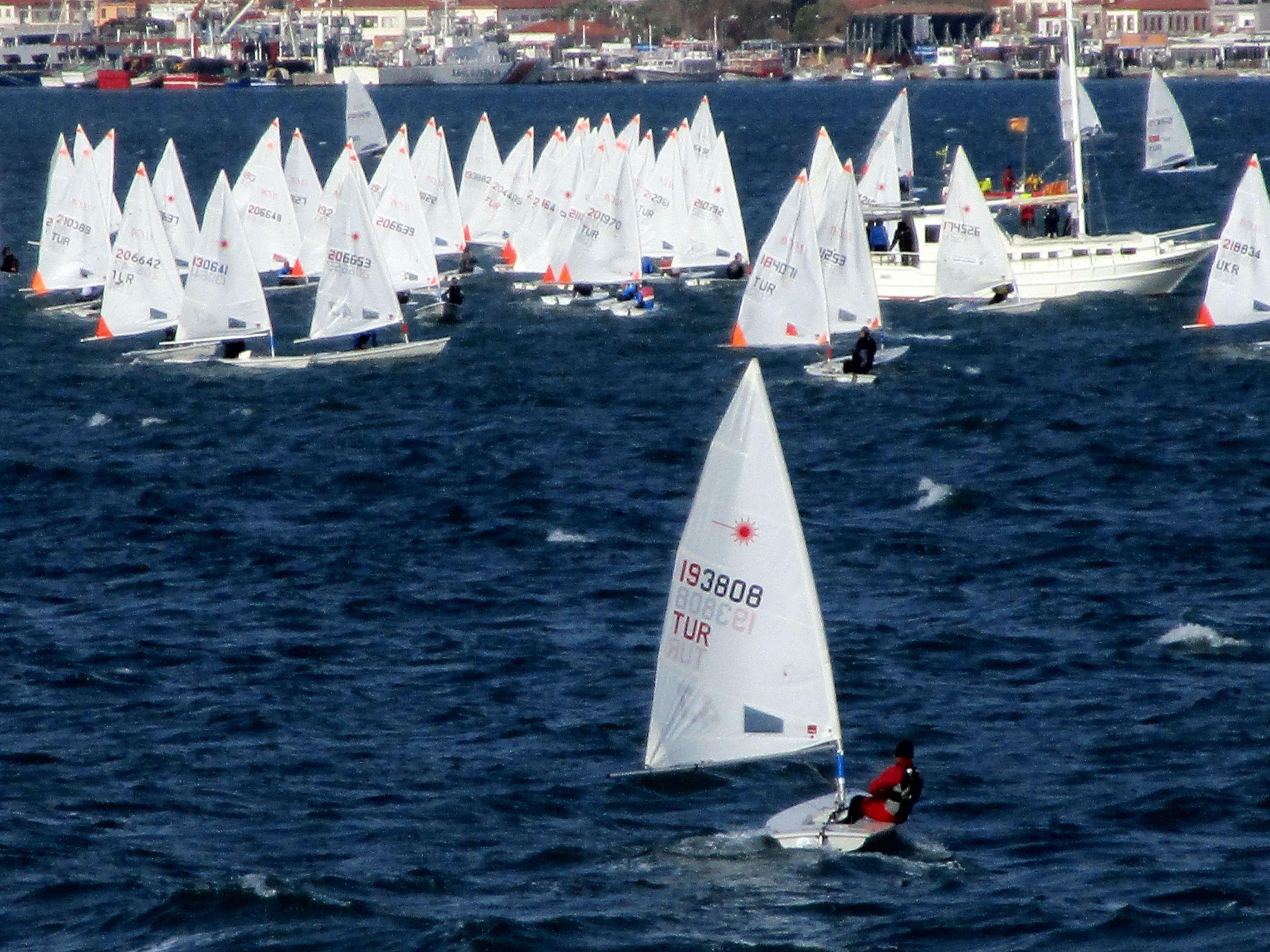 Optimist sailing championship