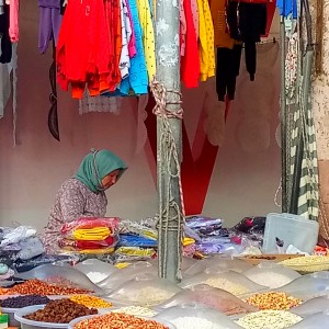 Peasant women in the market