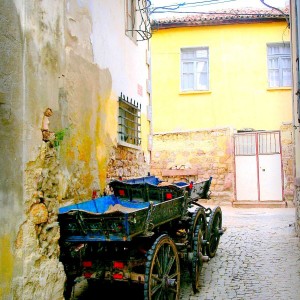 Horse carriage in the village