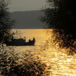 Sunset in novembre