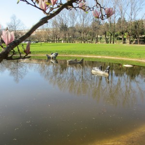 Parque da Cidade Guimarães