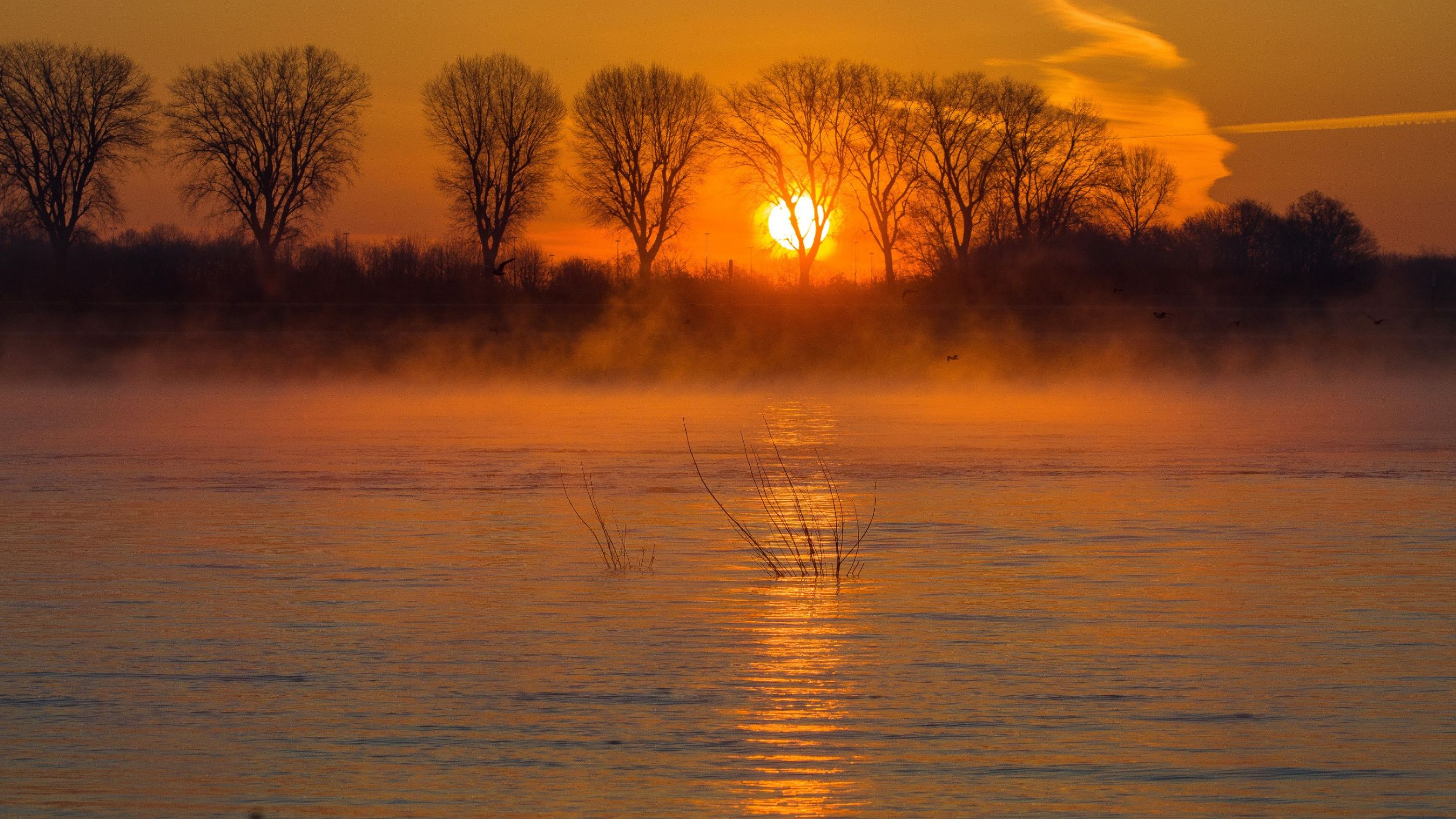 Rhein Meerbusch