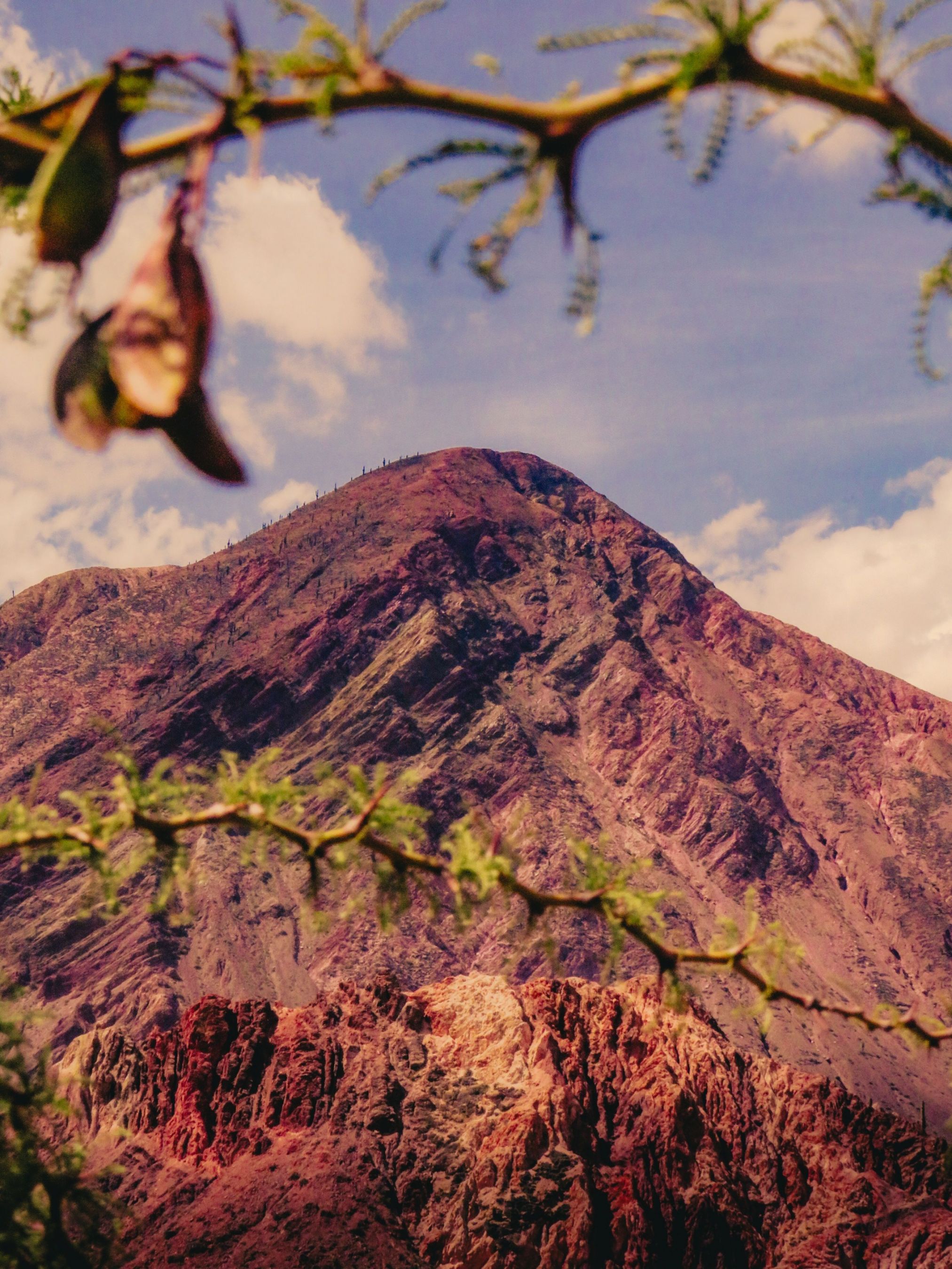 Montaña de Humahuaca