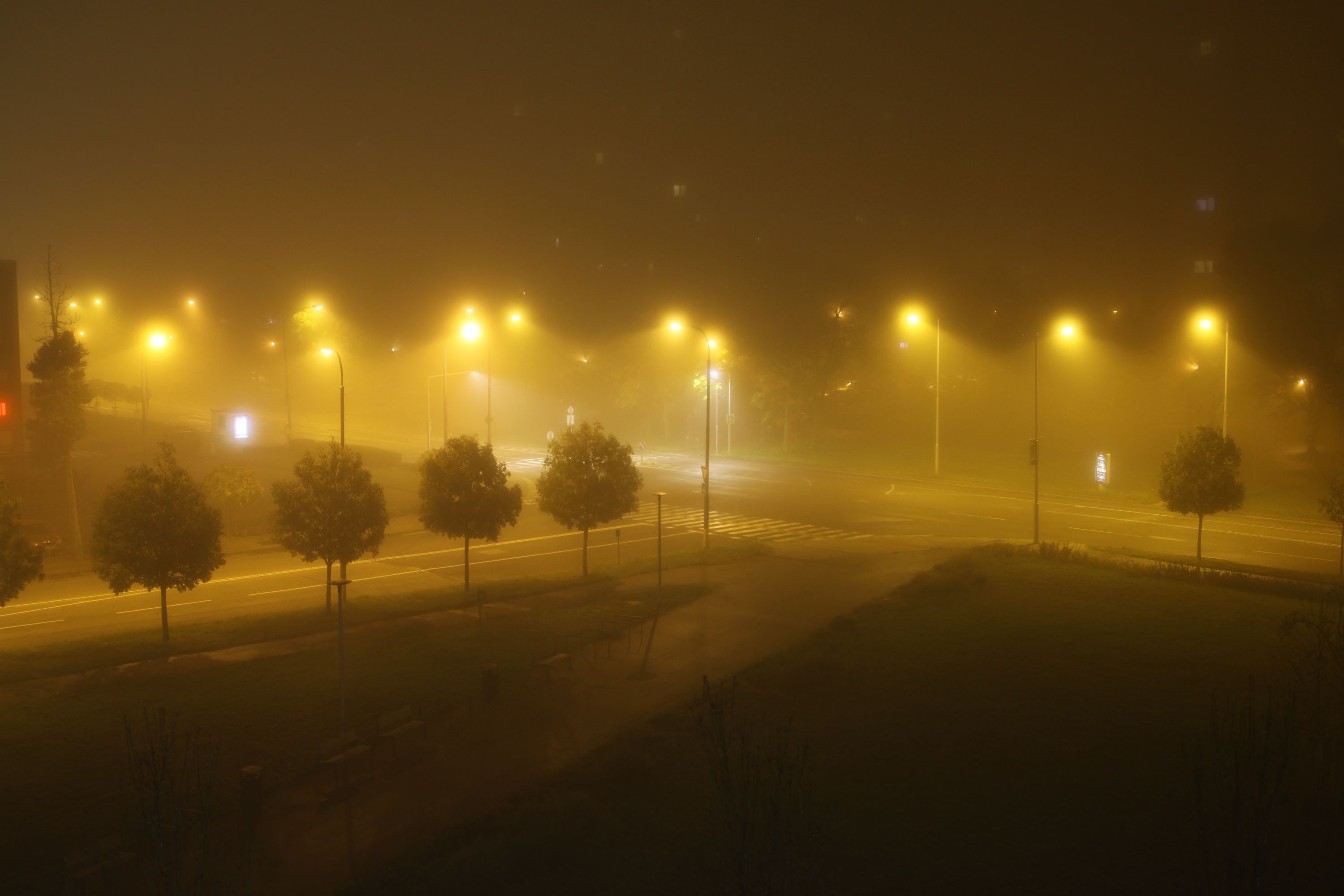 Fog on street