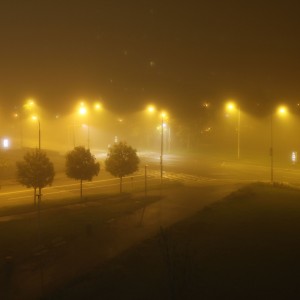 Fog on street