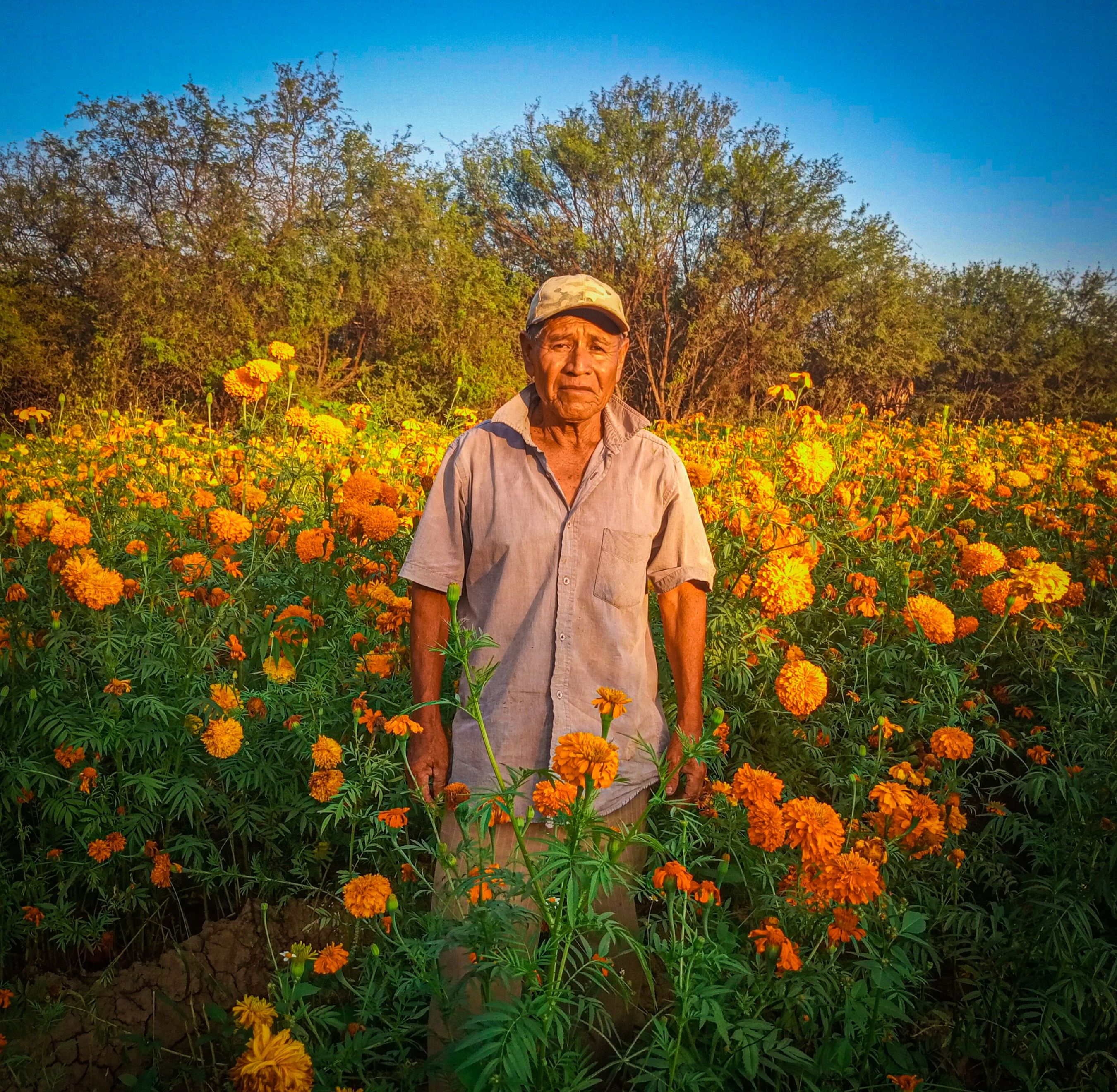 Gente de campo