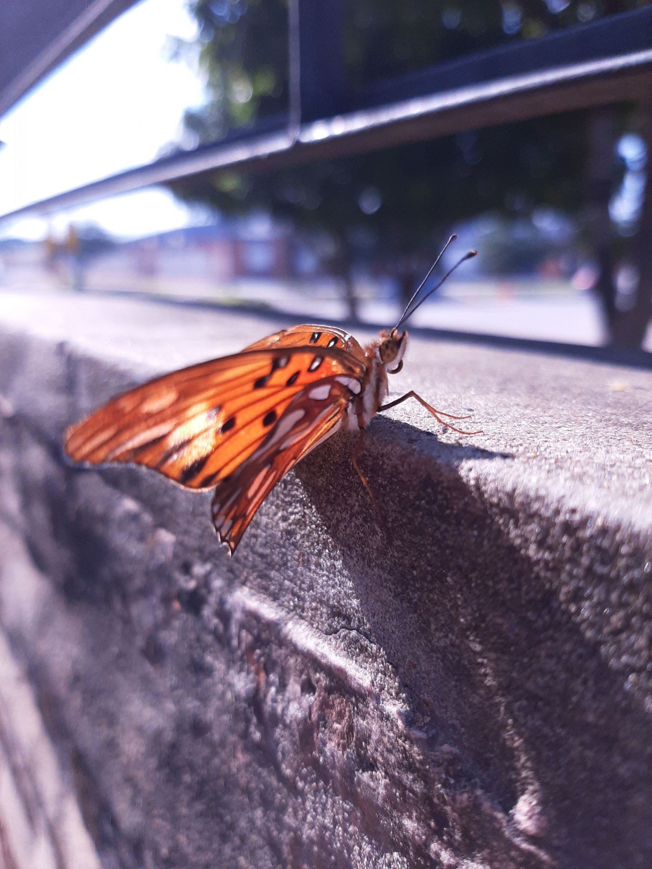 Es hora de volar