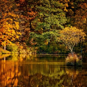 Podzimní jezero