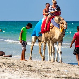 Camel ride