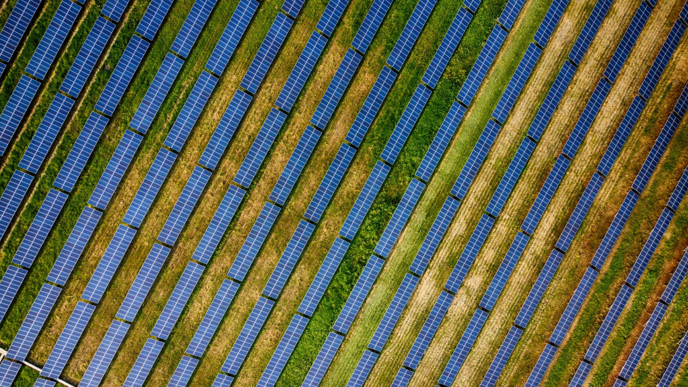 Solar Fields