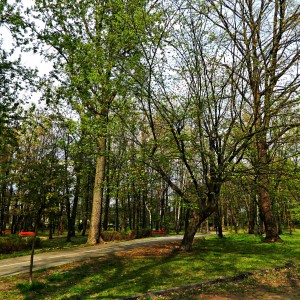 Park Heiloo w Piaśnikach