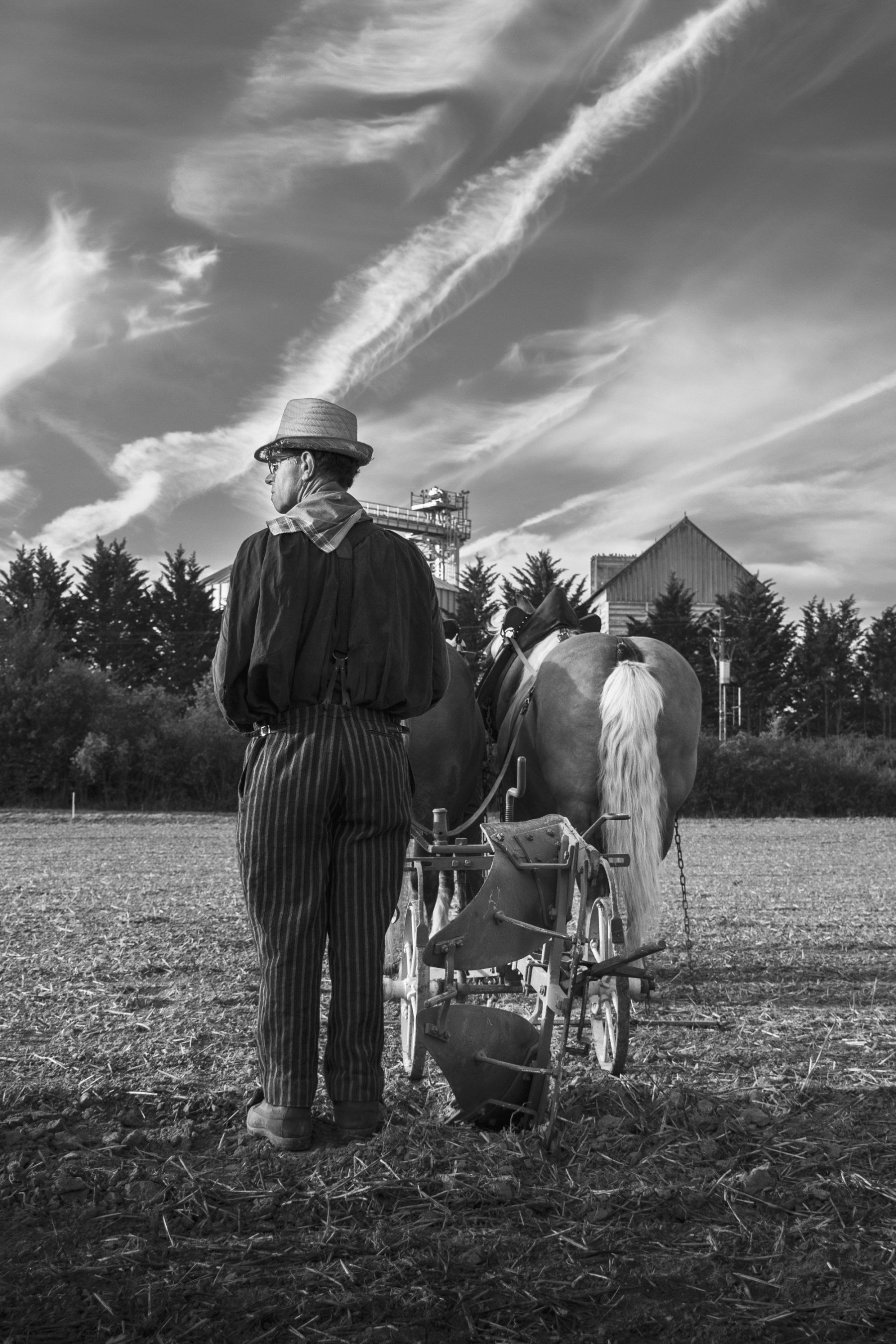 Paysan et ses chevaux