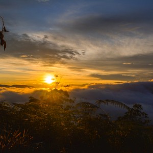 Amanecer, Colombia