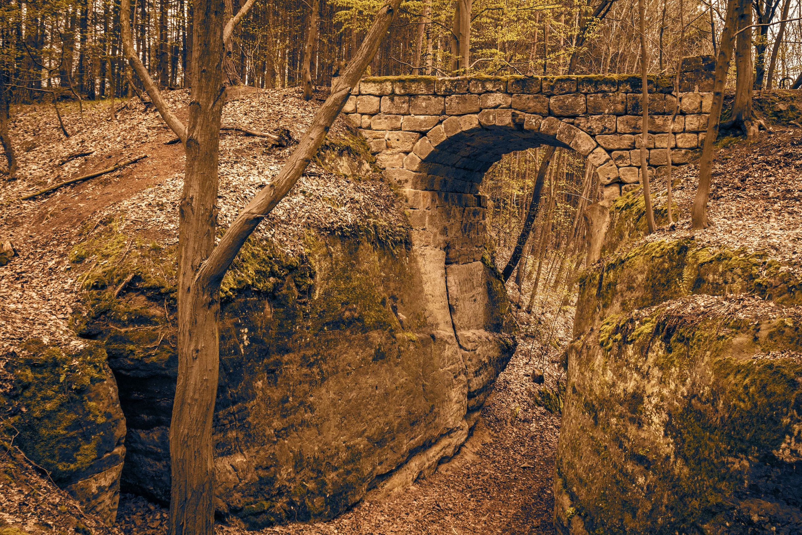 Starý most v lese