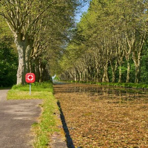 Radweg-am-Canal