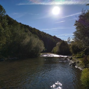 Relaxing by the river