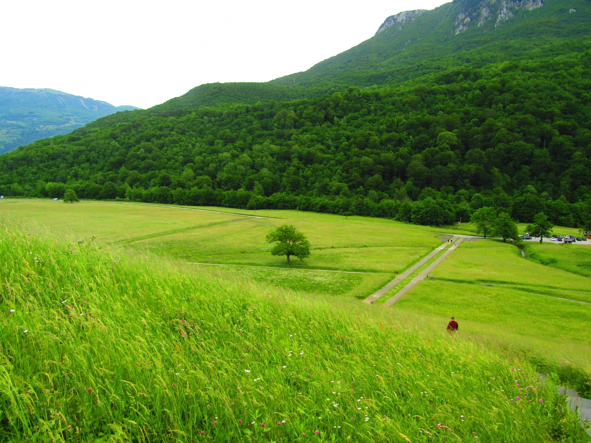 Mountains,greenery,valey